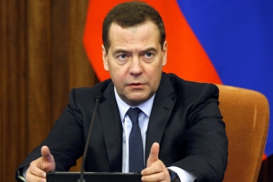 Медведев: передача полученных в ДФО земель иностранцам будет запрещена Пресс-служба Правительства РФ